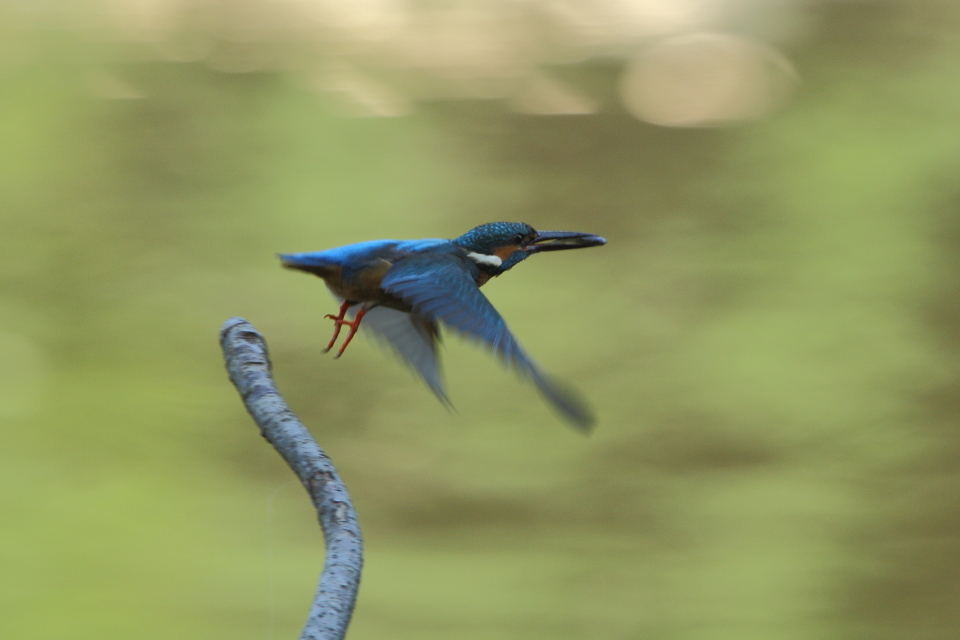 今行くよ～ッ　♪