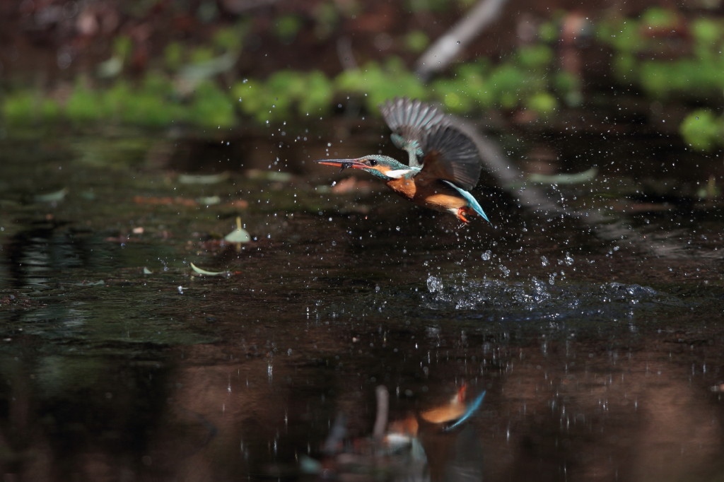 お掃除もします。(^.^)