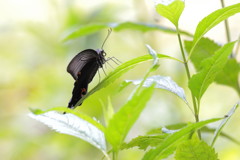 ひと休み