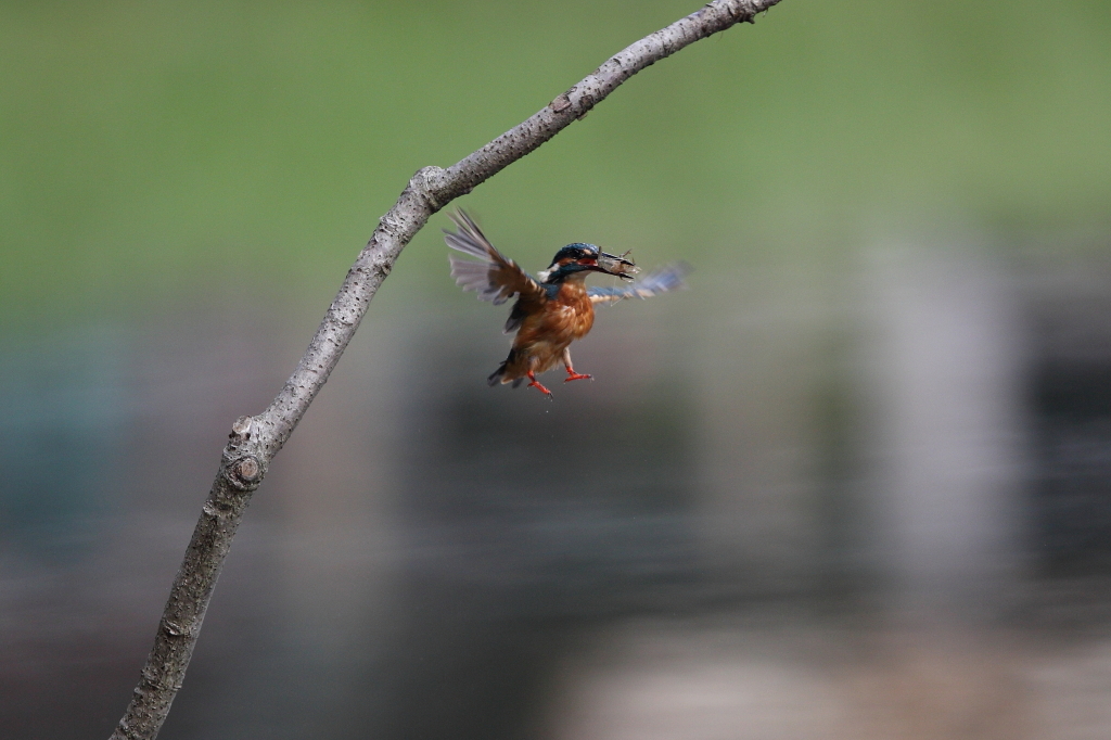 見てしまった！　その3