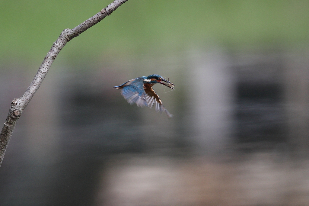 見てしまった！　その4