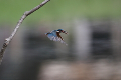 見てしまった！　その4