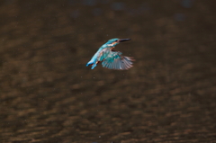 今日は散々ですね