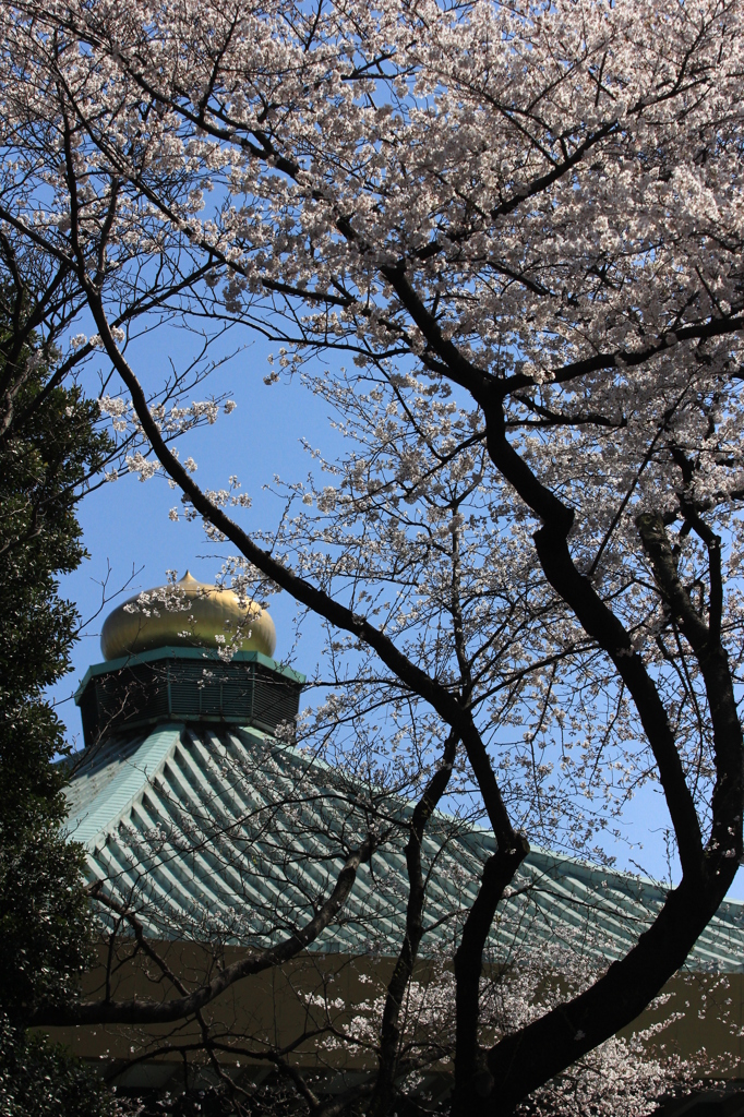 武道館前にて