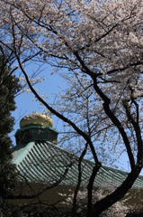 武道館前にて