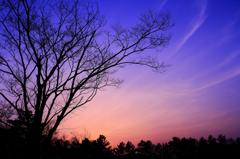 よく晴れた日の夕刻