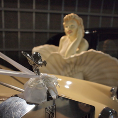 フライングレディ