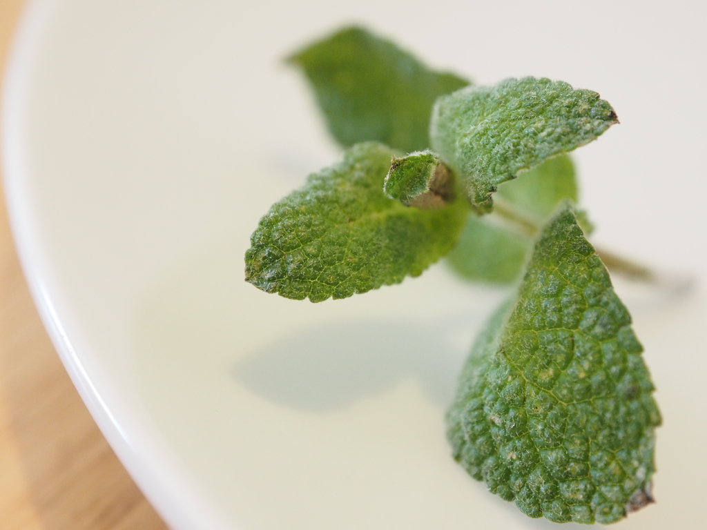 ミント