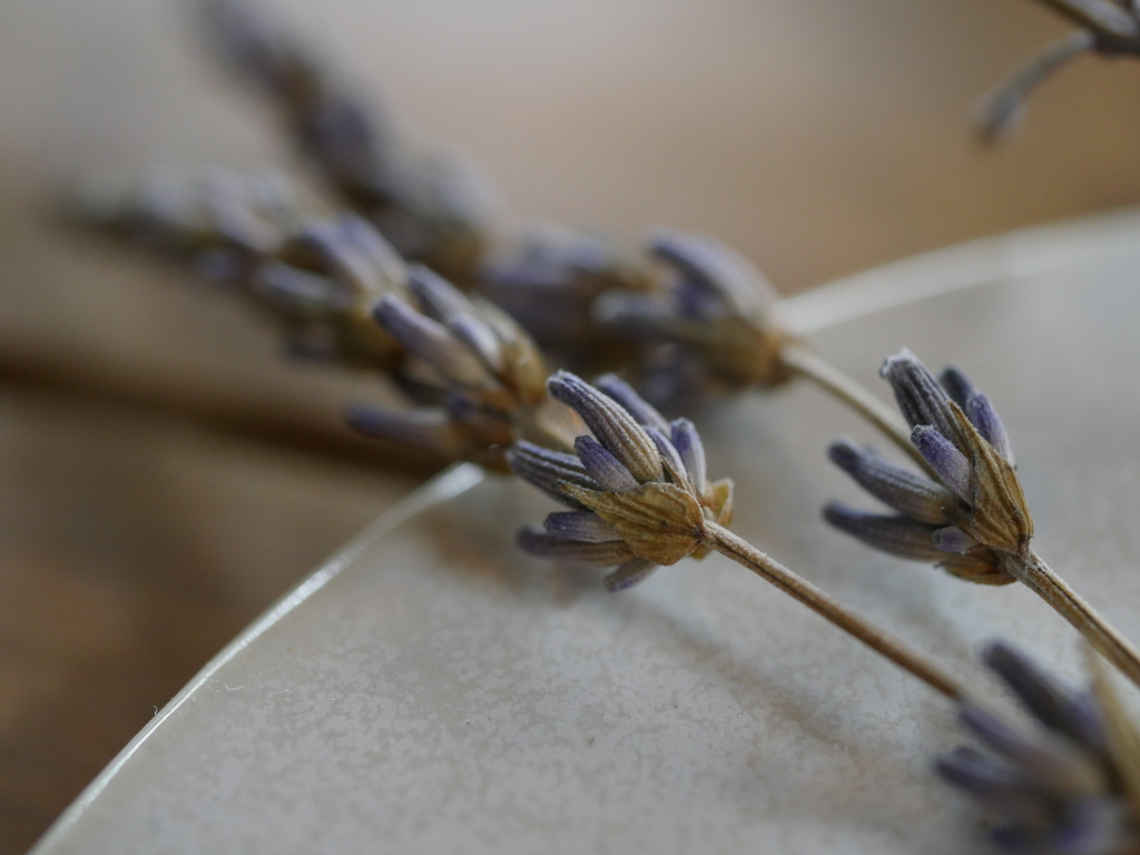 ドライフラワー