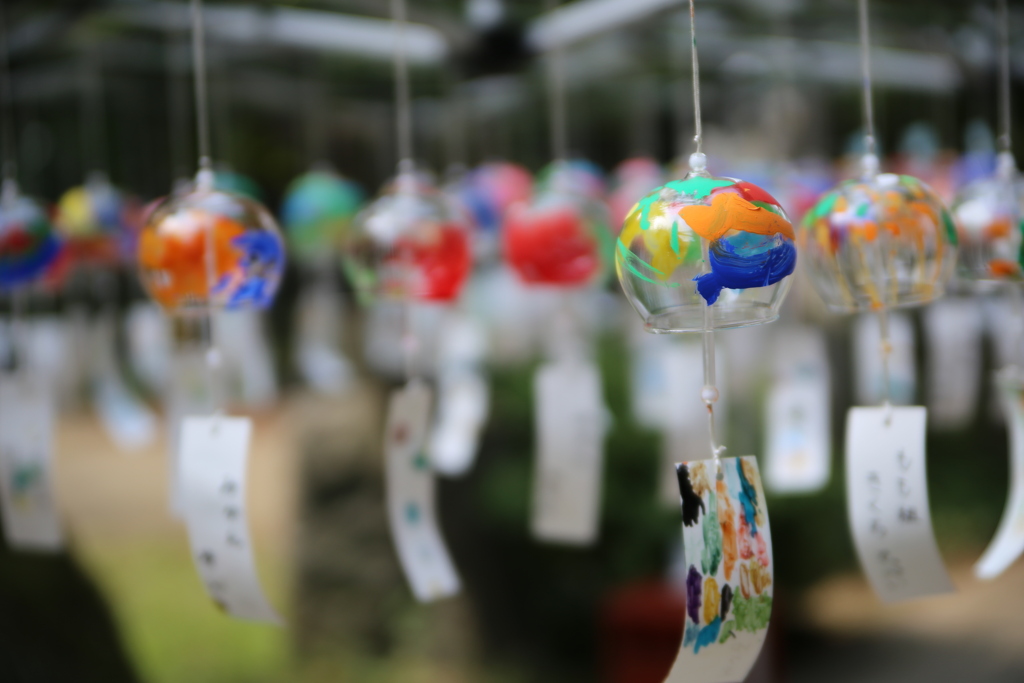 普段μ4/3なのでフルサイズのボケ味がわからん