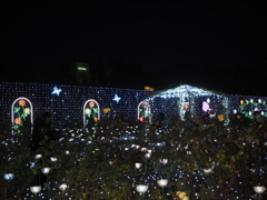 総じてイルミは難しい