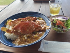 限定10食