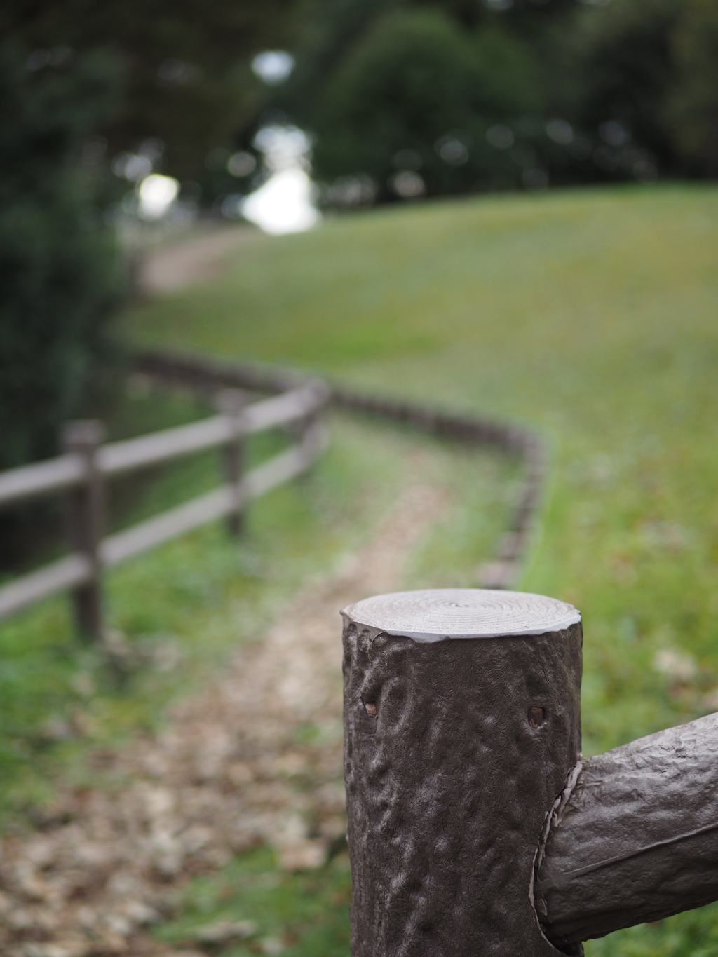 ボケテスト（杭）