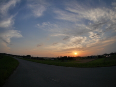 土手からの夕日