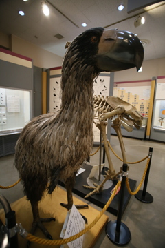 瞳AF（はついてないけど）