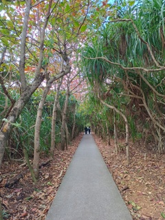 トンネル
