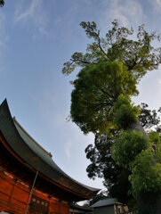 レンズキャップ