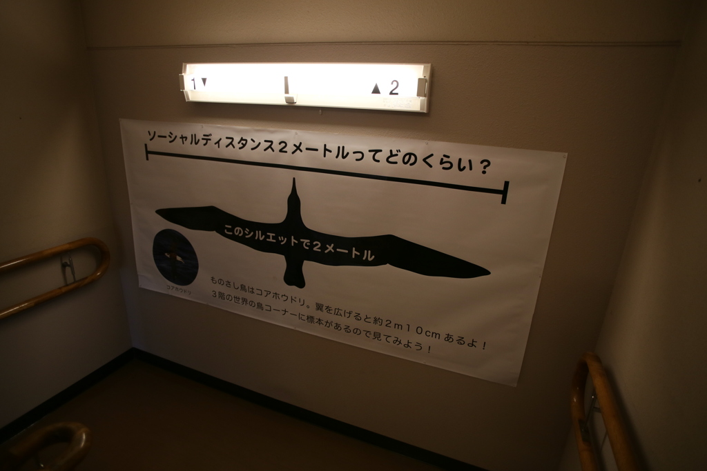 ソーシャルディスタンス