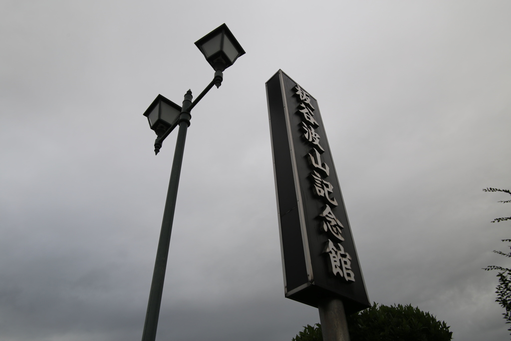 曇天に向かって