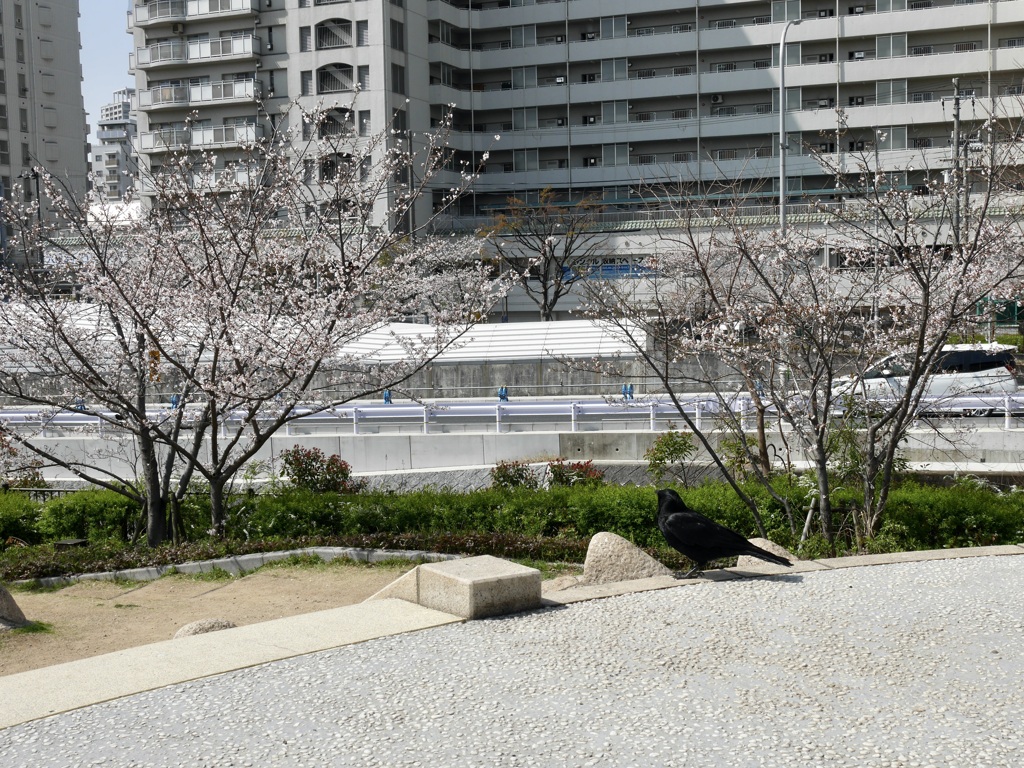 神戸紀行2025