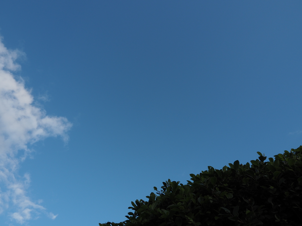 南国の空