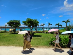 古宇利島の道の駅（のようなところ）にて