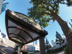 新宿駅西口中央通り