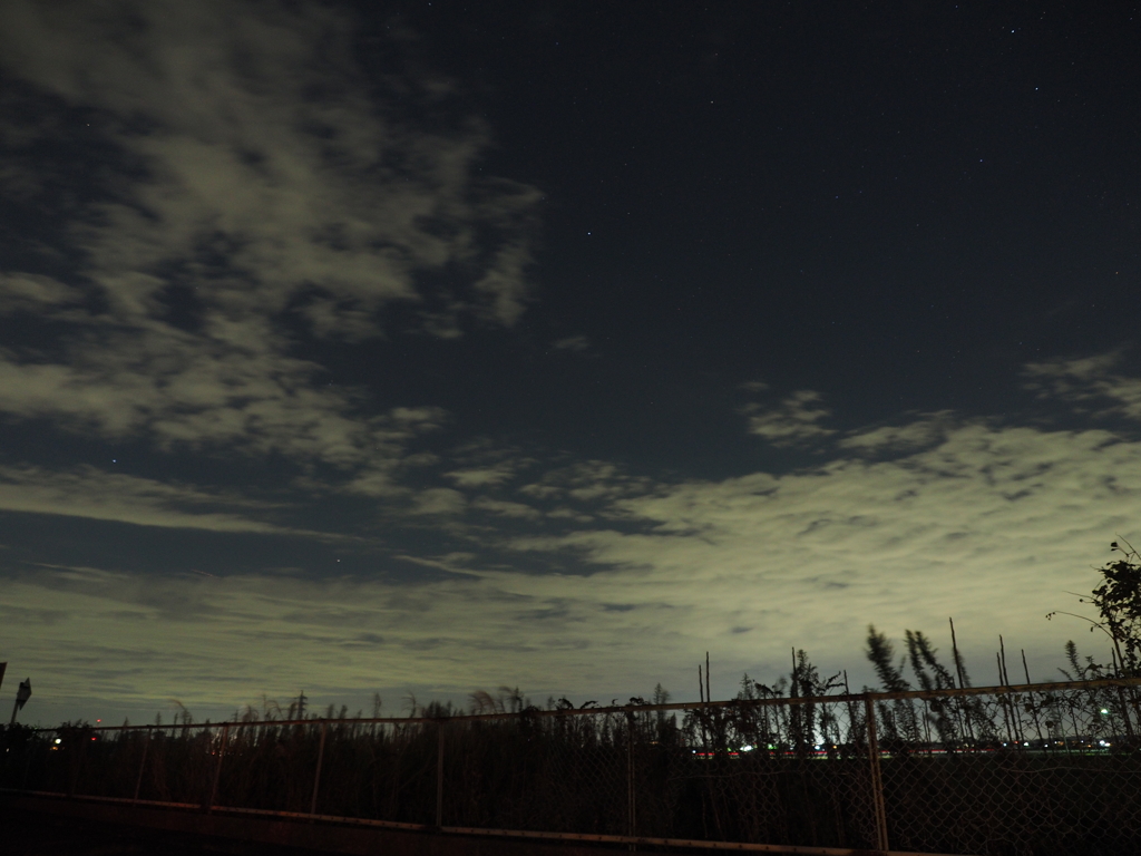 ゴミやノイズに見えるかもしれませんが…