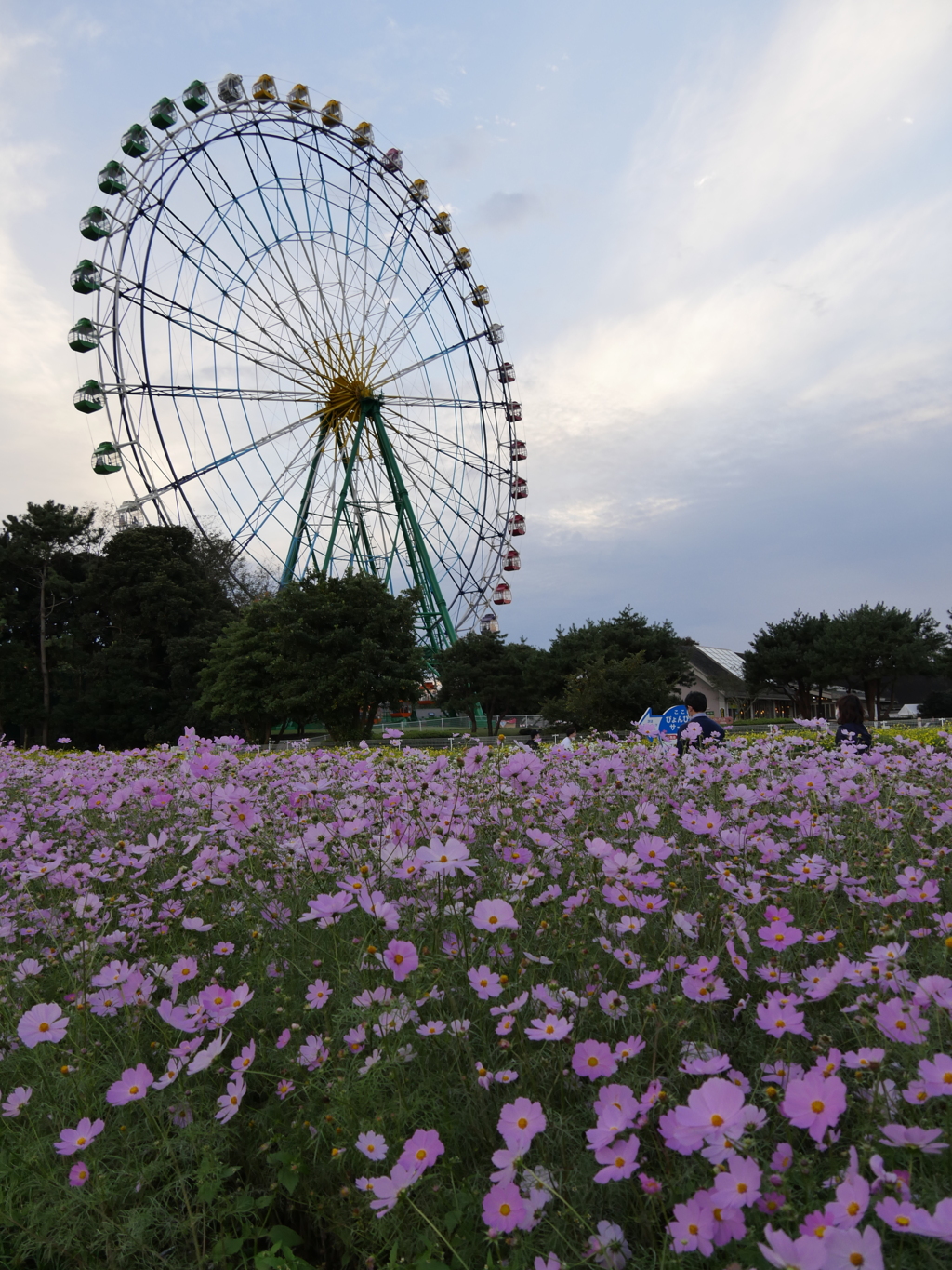 観覧車遠景