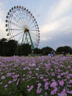 観覧車遠景
