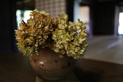 ドライフラワー