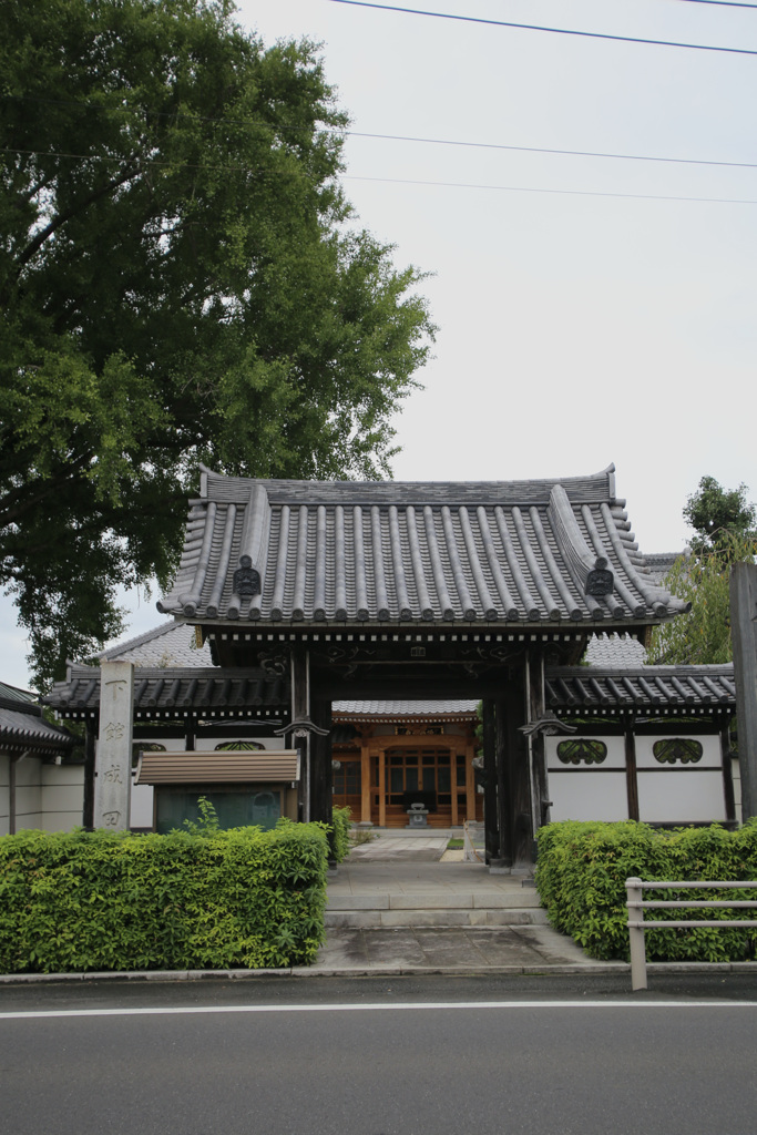 構図がヘボすぎ