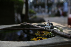 糸切れてますよ