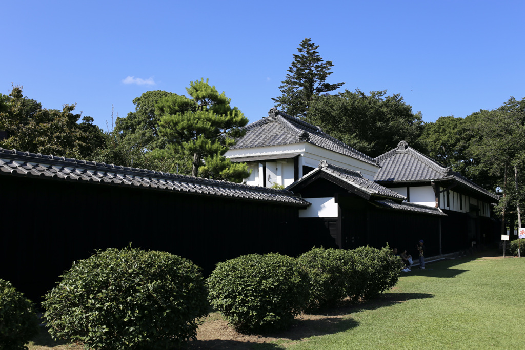 日陰を求めて