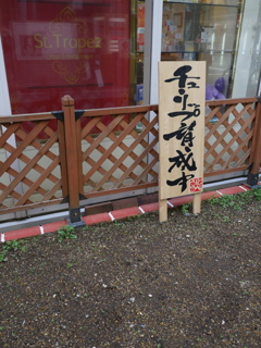 チューリップ育成中