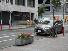 成人式の日の街角