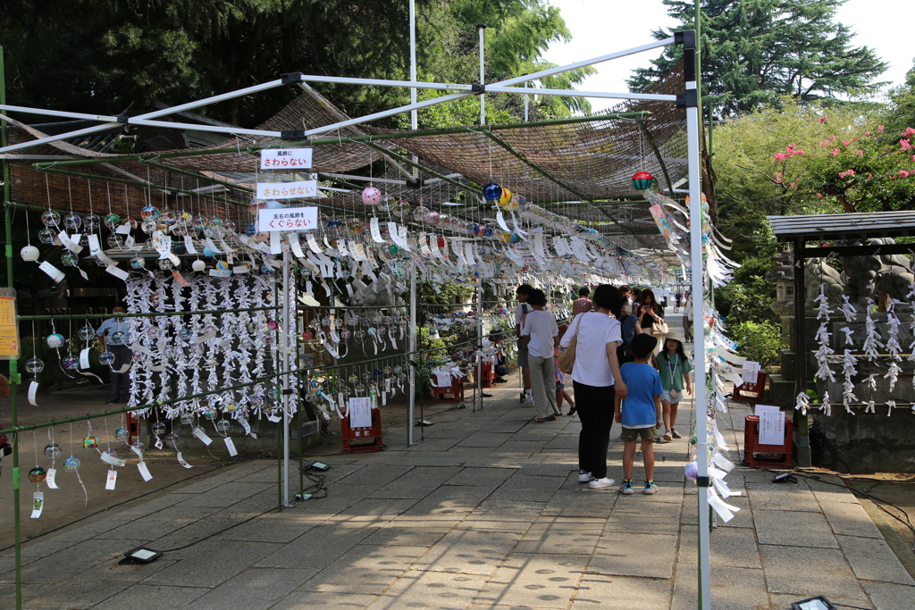 風鈴のイベント