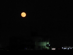 満月？なのかな？