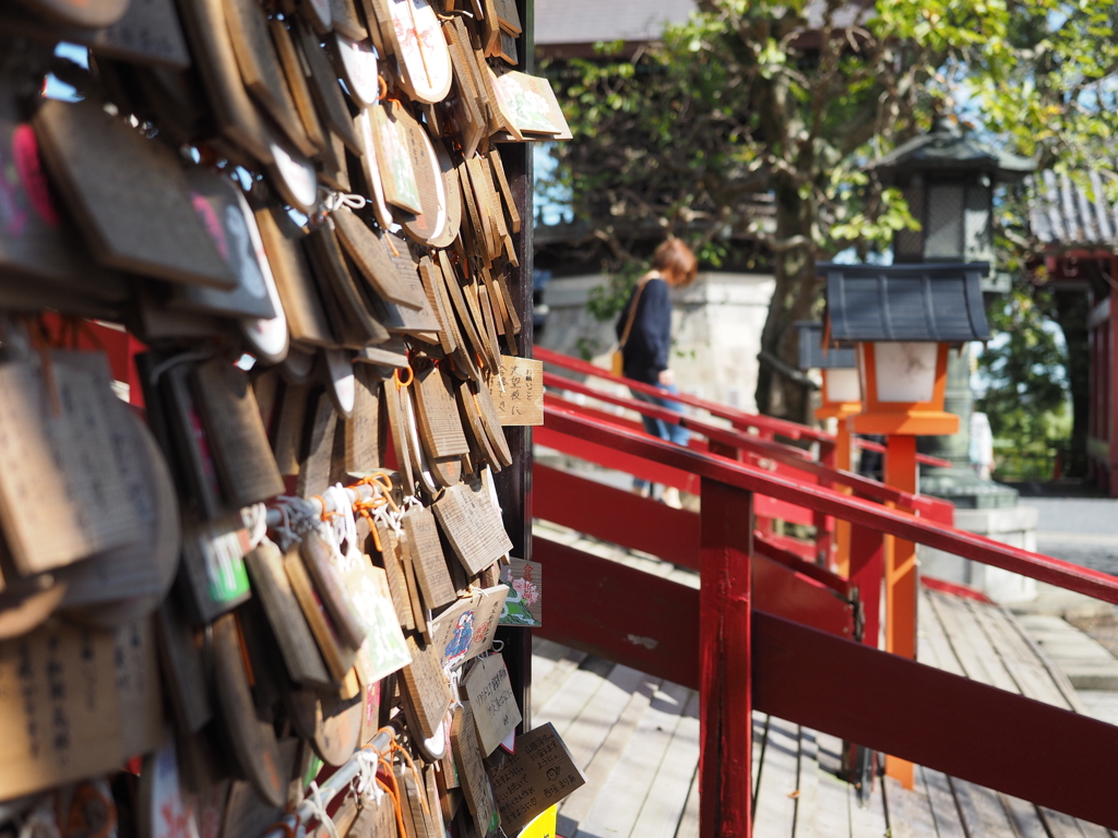 志望校に合格…