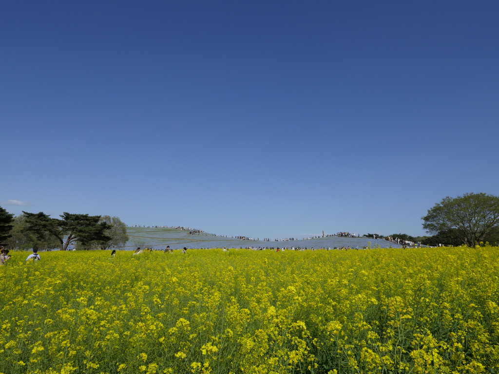（逆視点）見ろ！人が・・・のようだ！