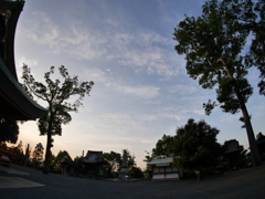 夕刻の境内