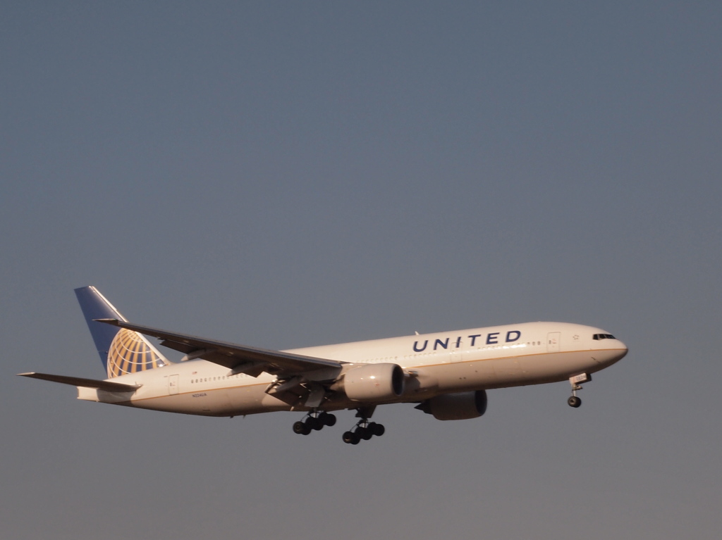 マクロで飛びモノ