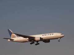 マクロで飛びモノ