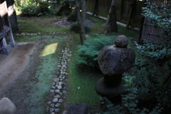 庭