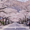 桜木花道