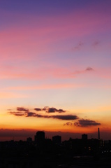 夕陽