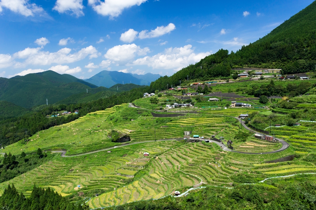 丸山千枚田
