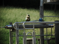 四ツ池公園4059