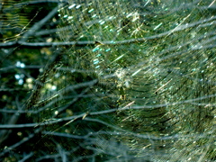 四ツ池公園4046