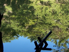 四ツ池公園4050